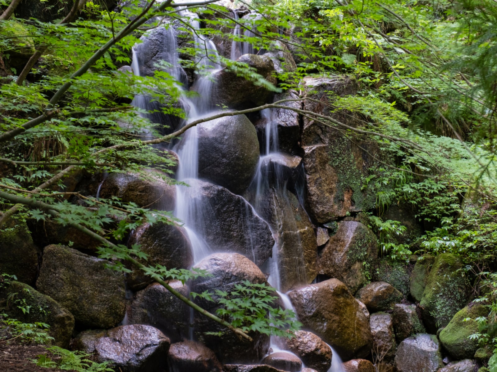 「冬に行きたい鳥取県の滝」ランキング