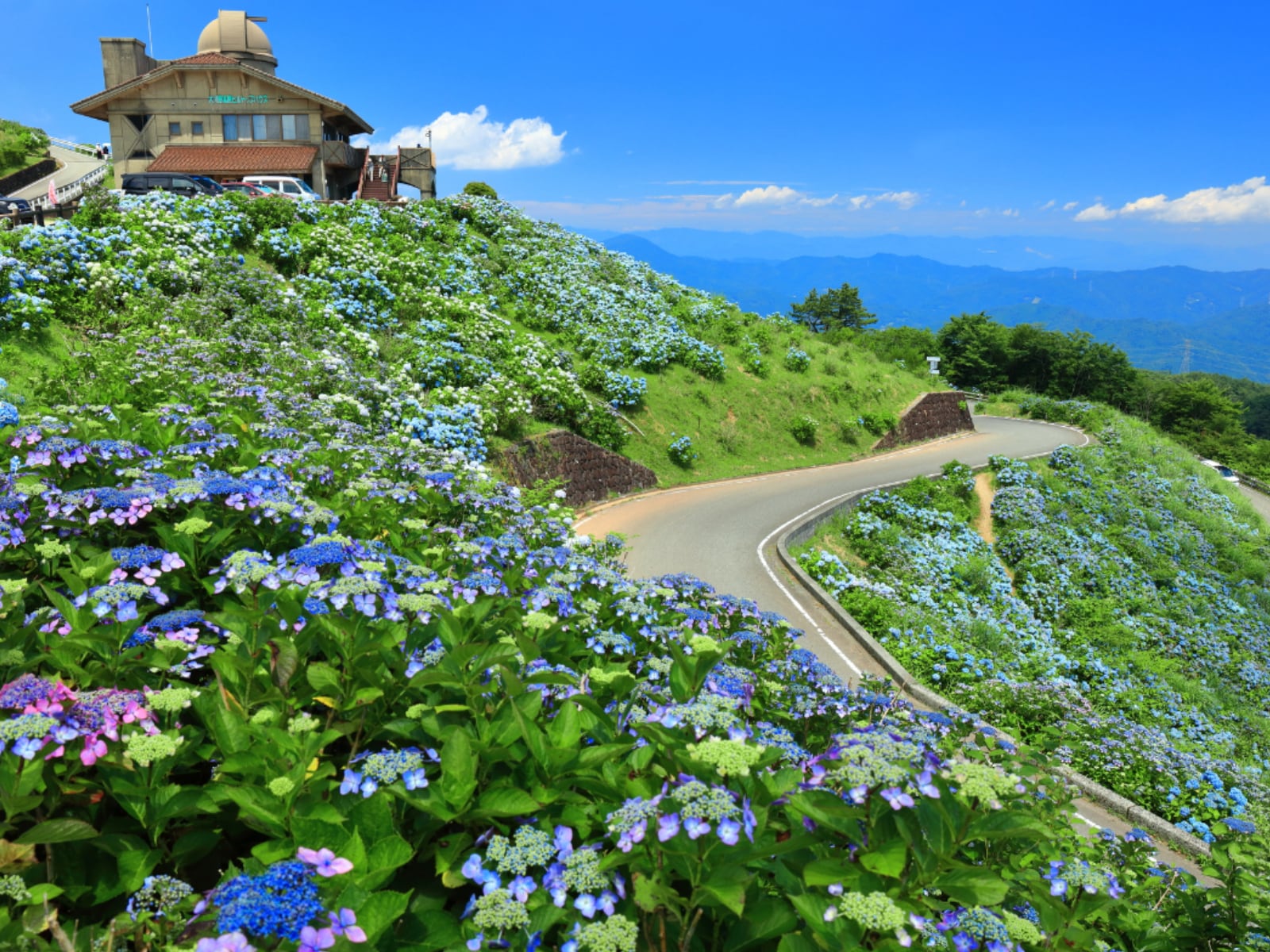 「読むのが難しいと思う徳島県の自治体」ランキング