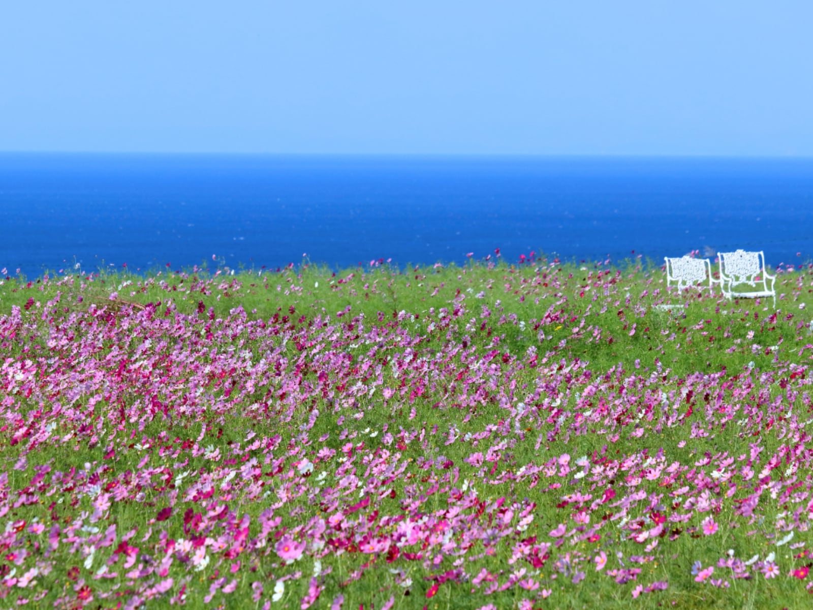 「読むのが難しいと思う高知県の自治体」ランキング