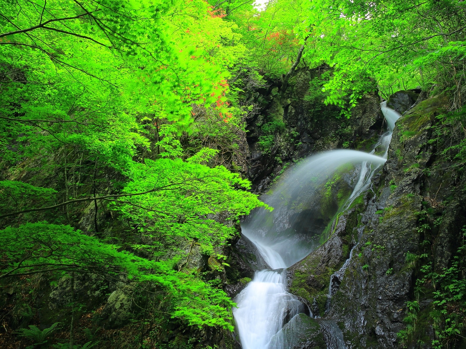 冬に行きたい「岩手県の滝」ランキング