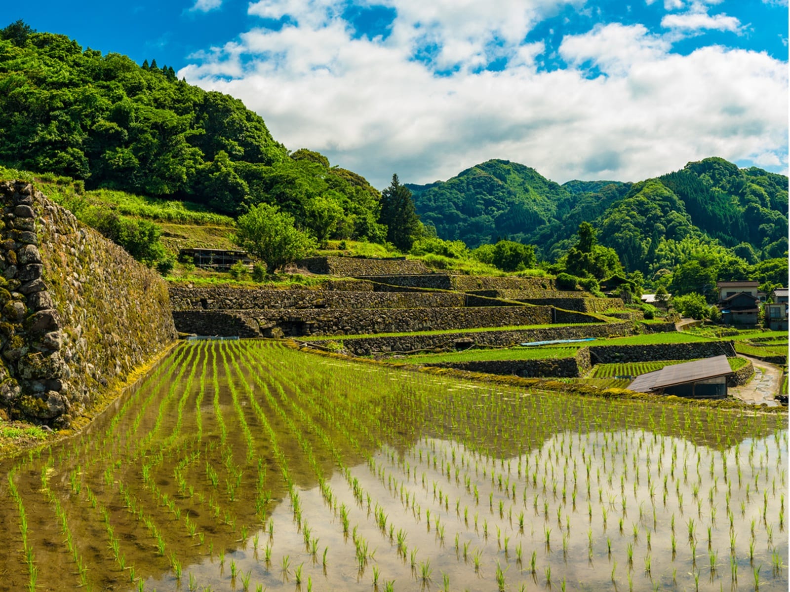 読むのが難しいと思う「熊本県の自治体」ランキング