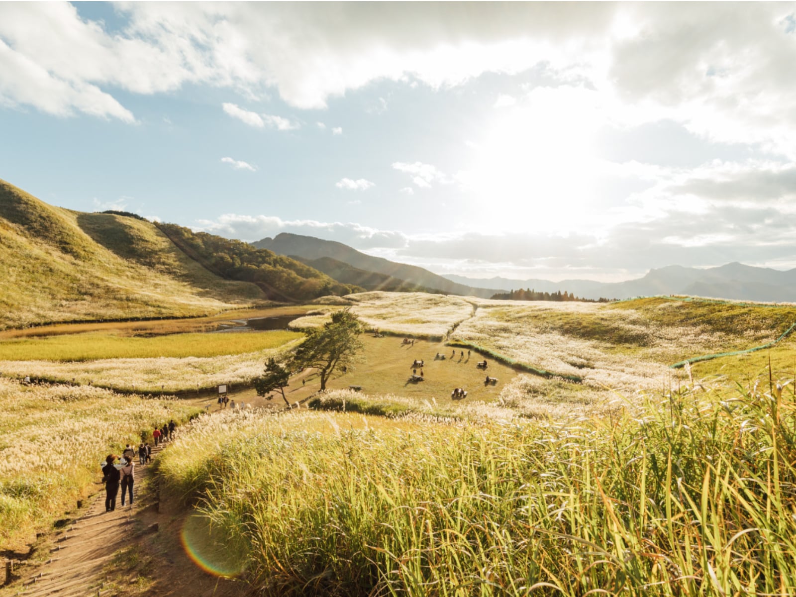 「読むのが難しいと思う和歌山県の自治体」ランキング