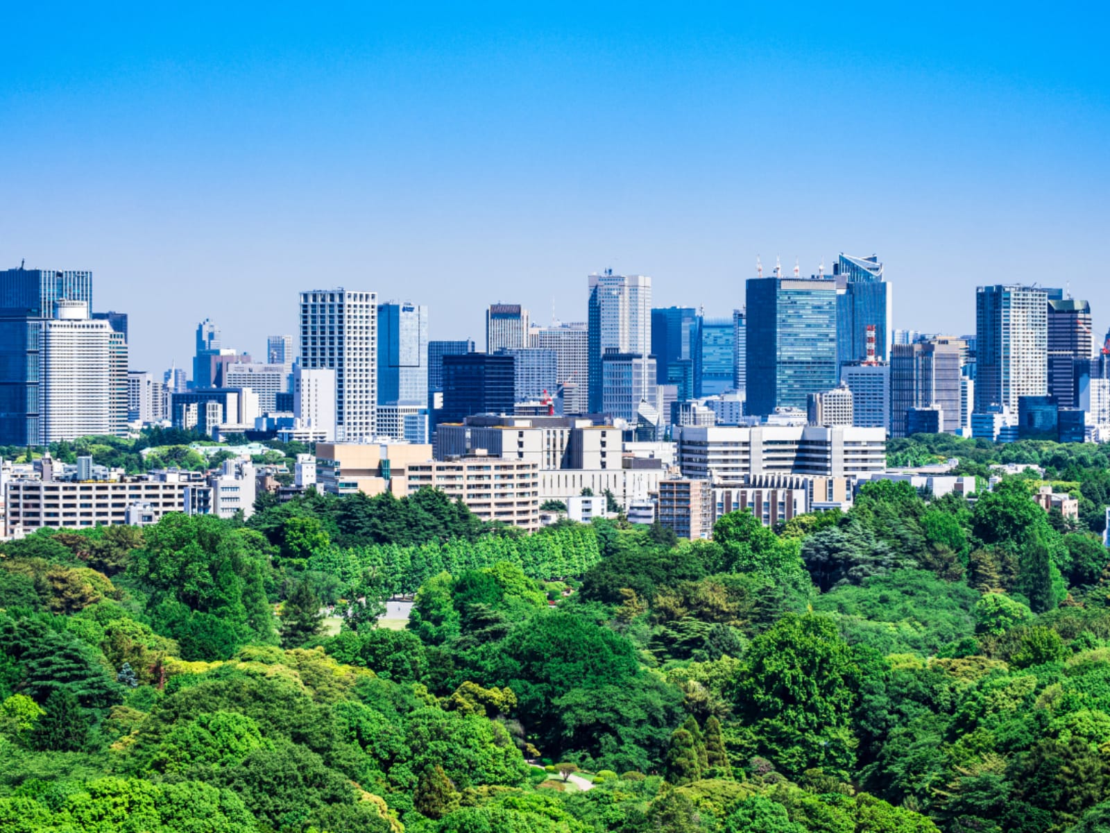 「新宿の観光スポット」ランキング