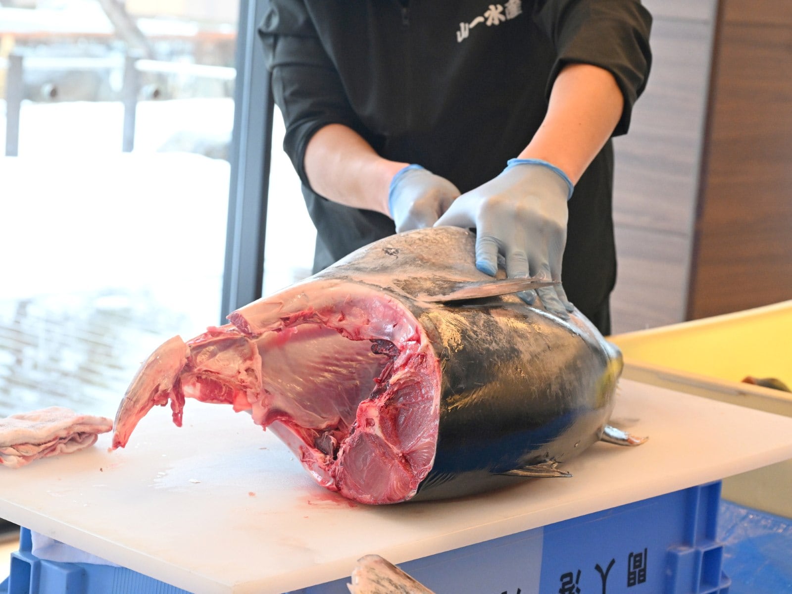 天然クロマグロの解体ショー。水揚げ当日だと鮮度抜群（2月11日、天橋立ホテルで実施）