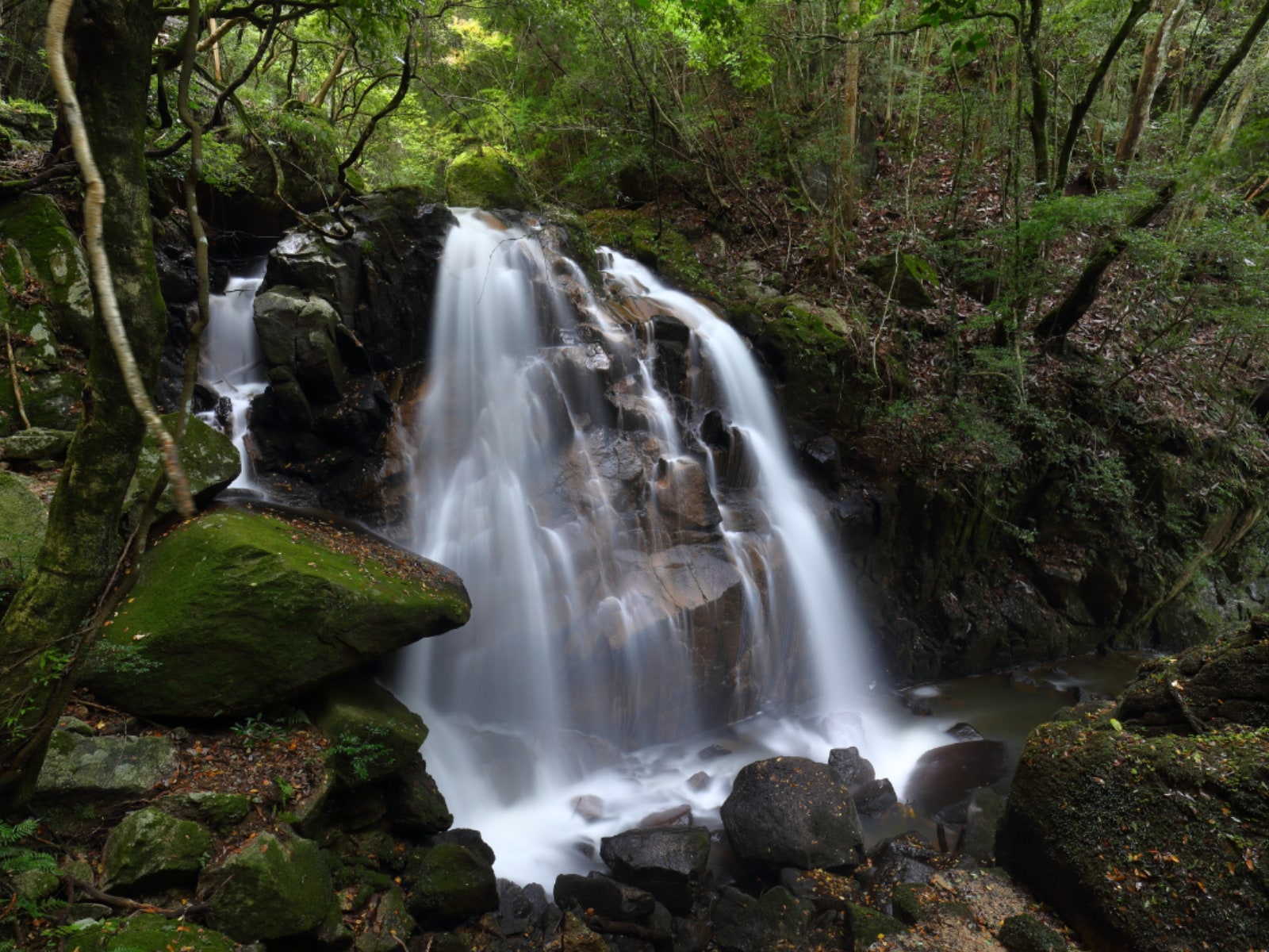 「滋賀県の滝」ランキング