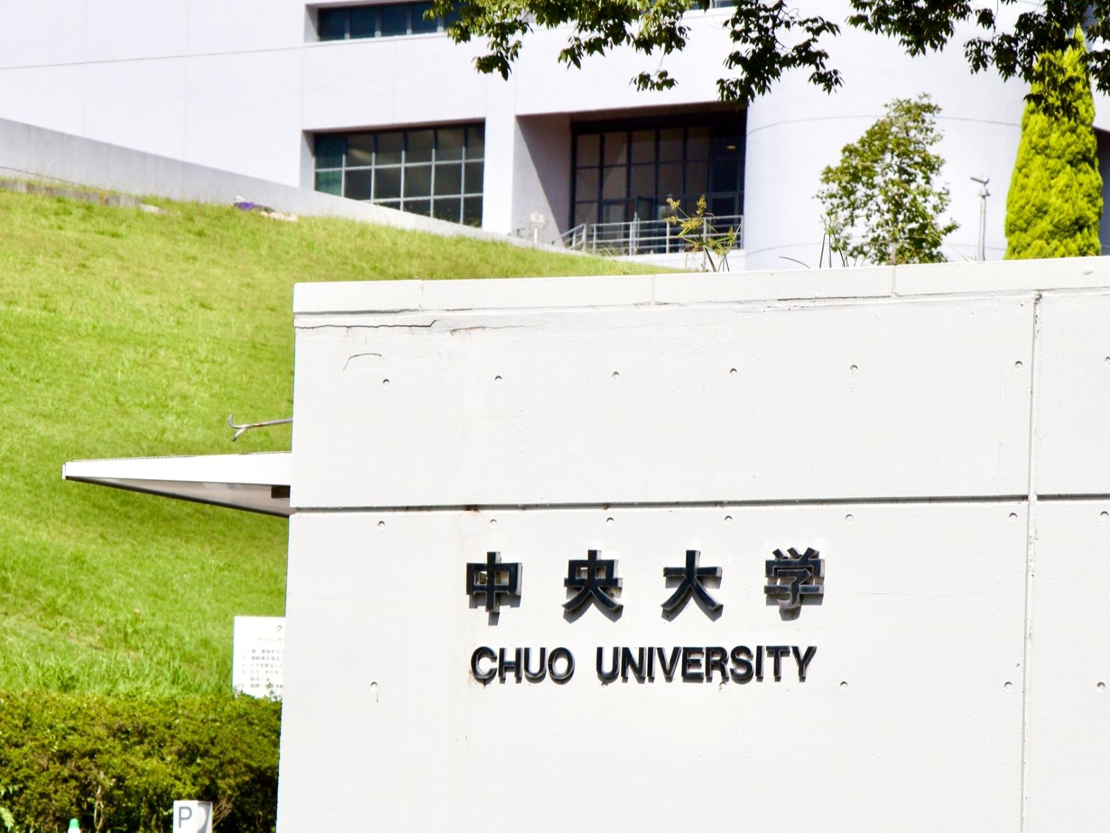 国公立大学であれば全ての学部学科の受験が認められてい