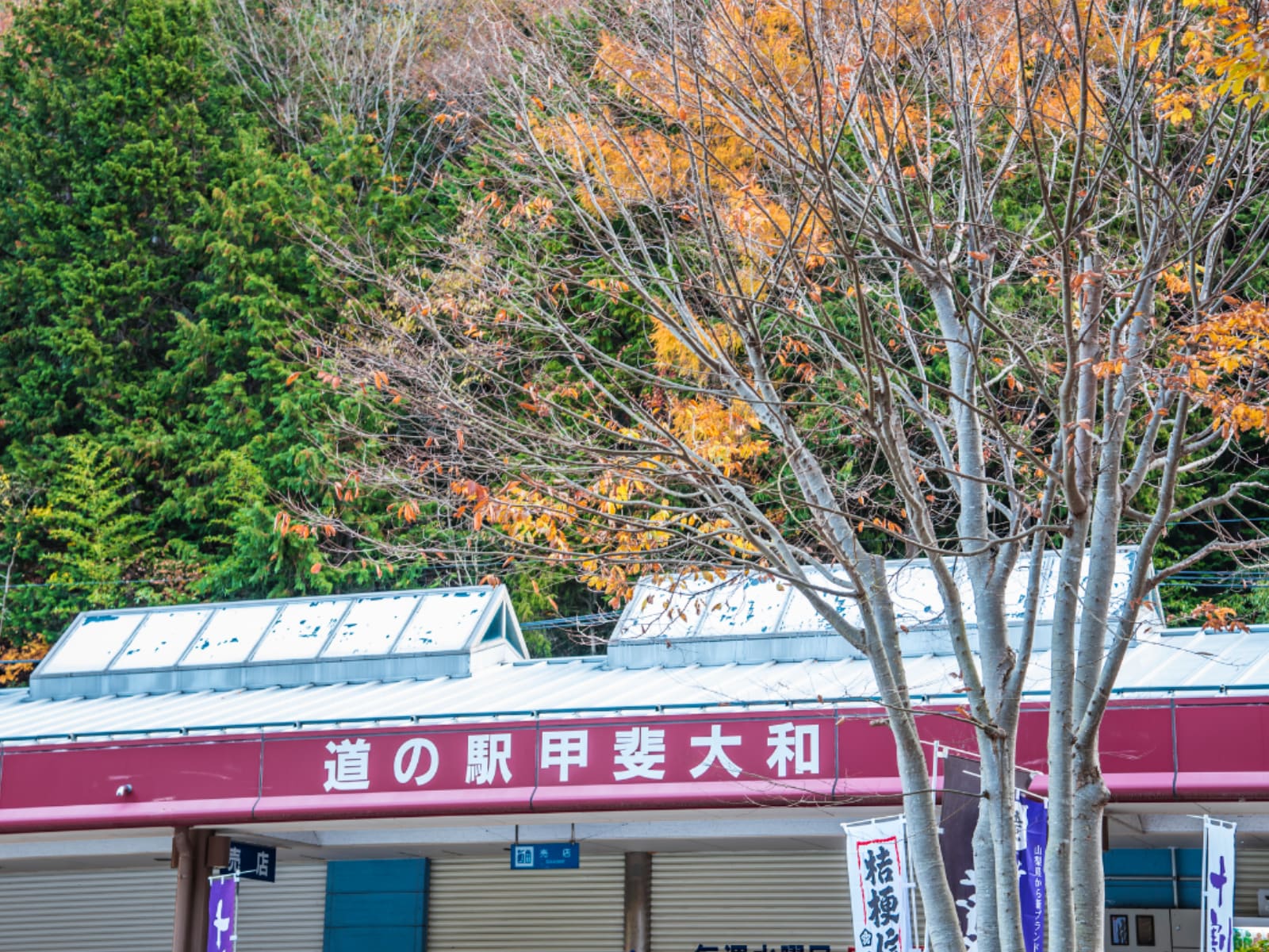 「グルメが魅力的だと思う山梨県の道の駅」ランキング