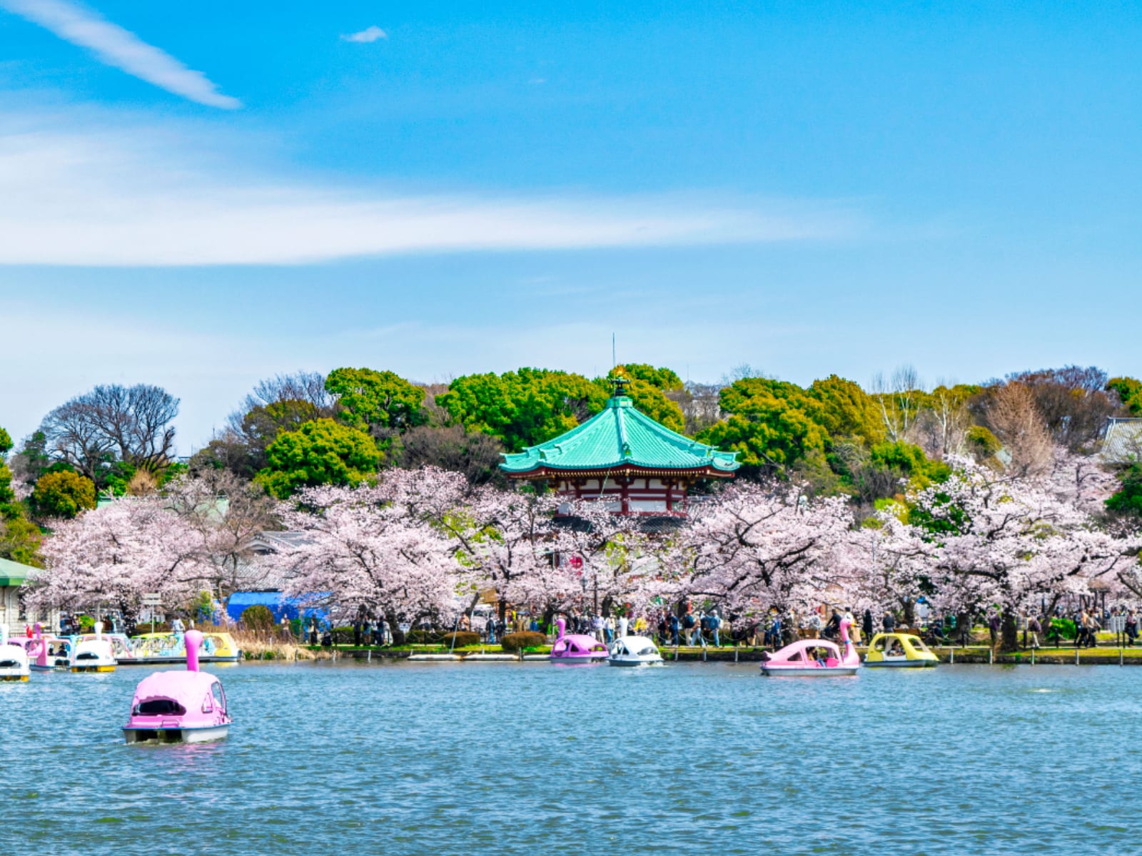 「東京で行ってみたい＆好きな桜の名所」ランキング