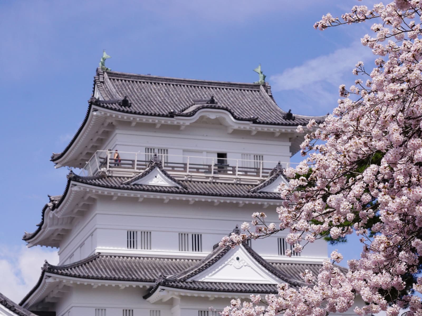 「神奈川で行ってみたい＆好きな桜の名所」ランキング