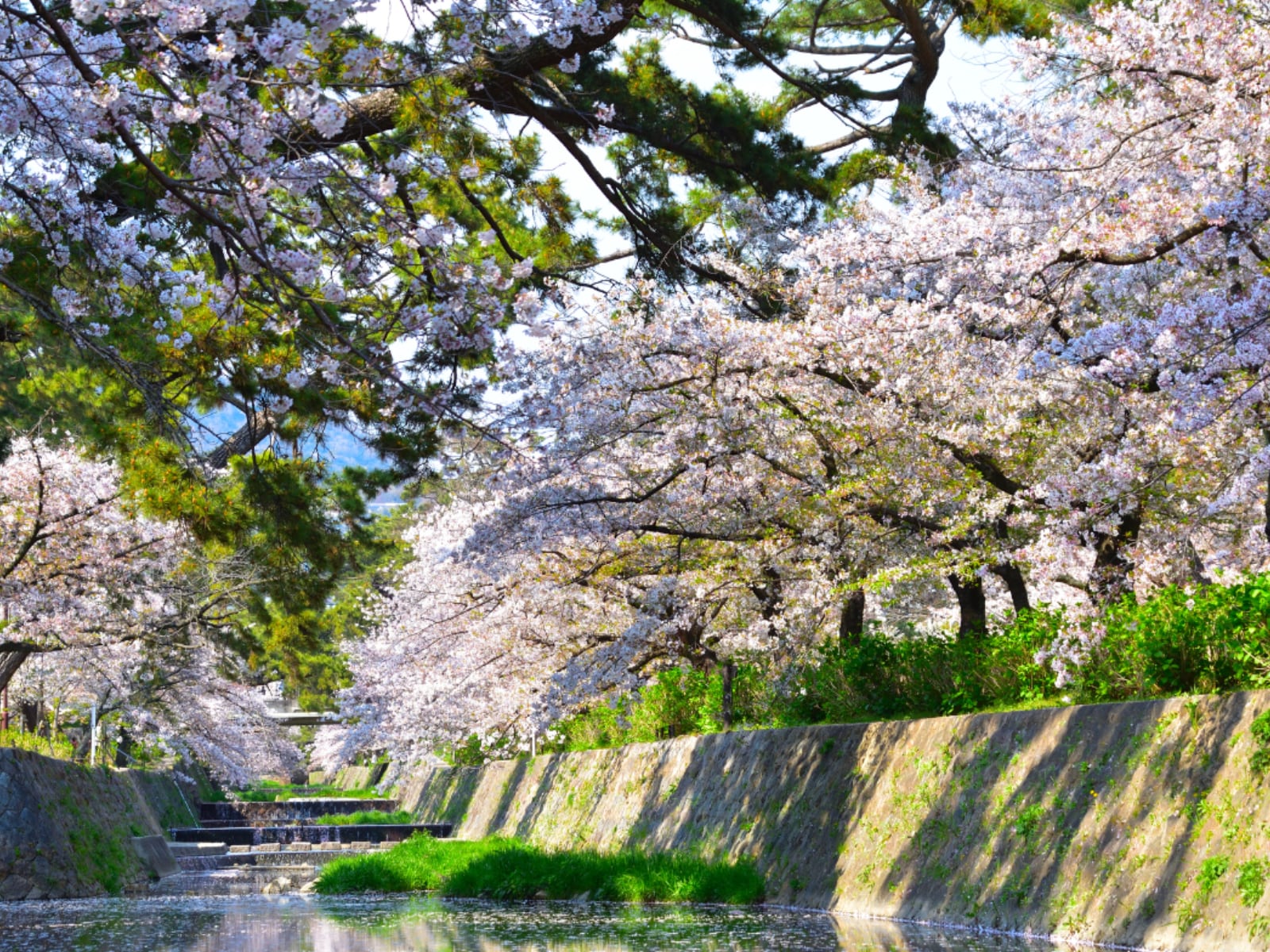 「兵庫で行ってみたい＆好きな桜の名所」ランキング