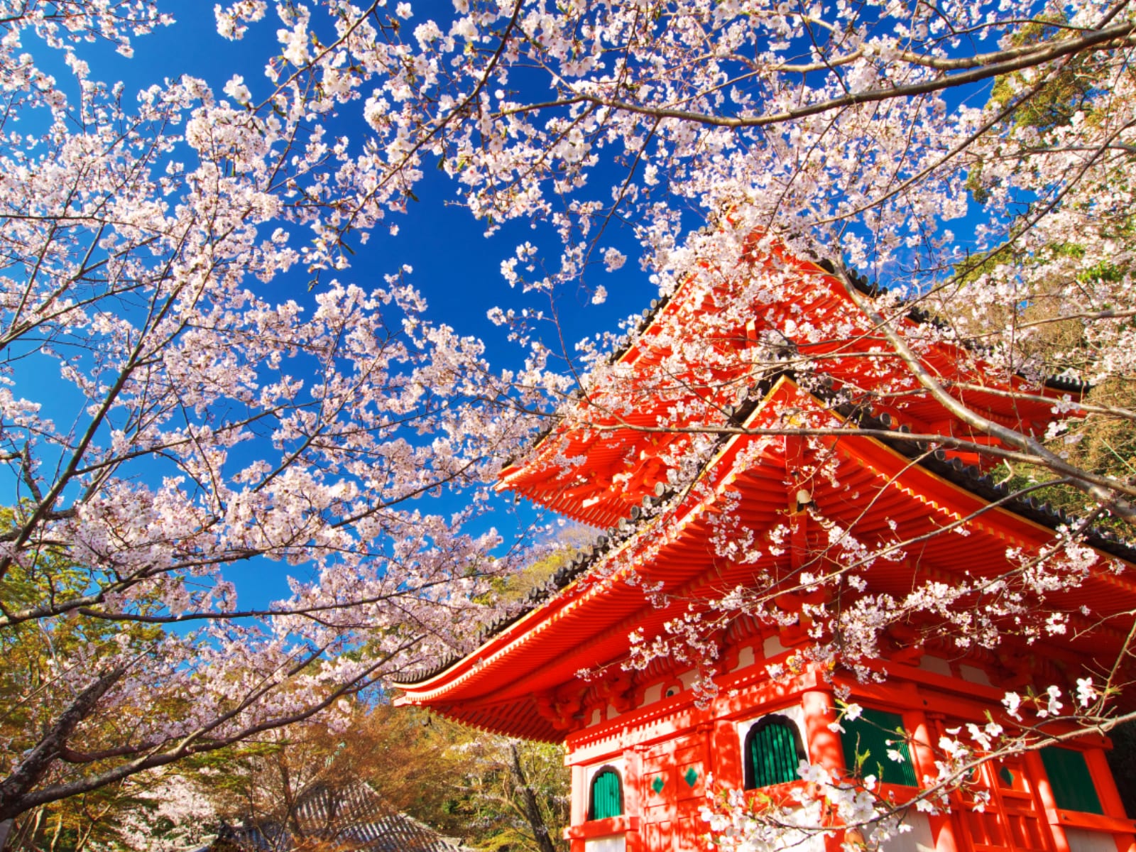 「和歌山で行ってみたい＆好きな桜の名所」ランキング