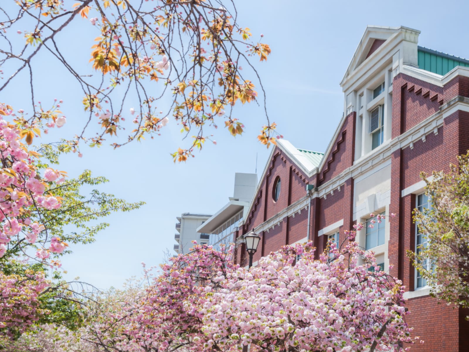 「大阪で行ってみたい＆好きな桜の名所」ランキング