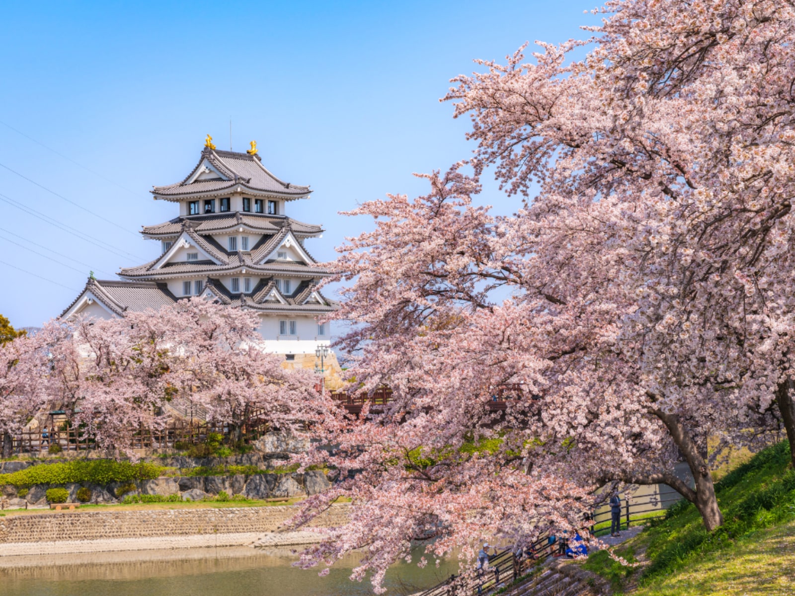 岐阜で行ってみたいたい＆好きな桜の名所ランキング