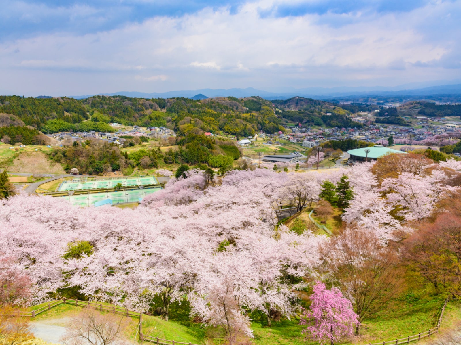 「福井で行ってみたい＆好きな桜の名所」ランキング