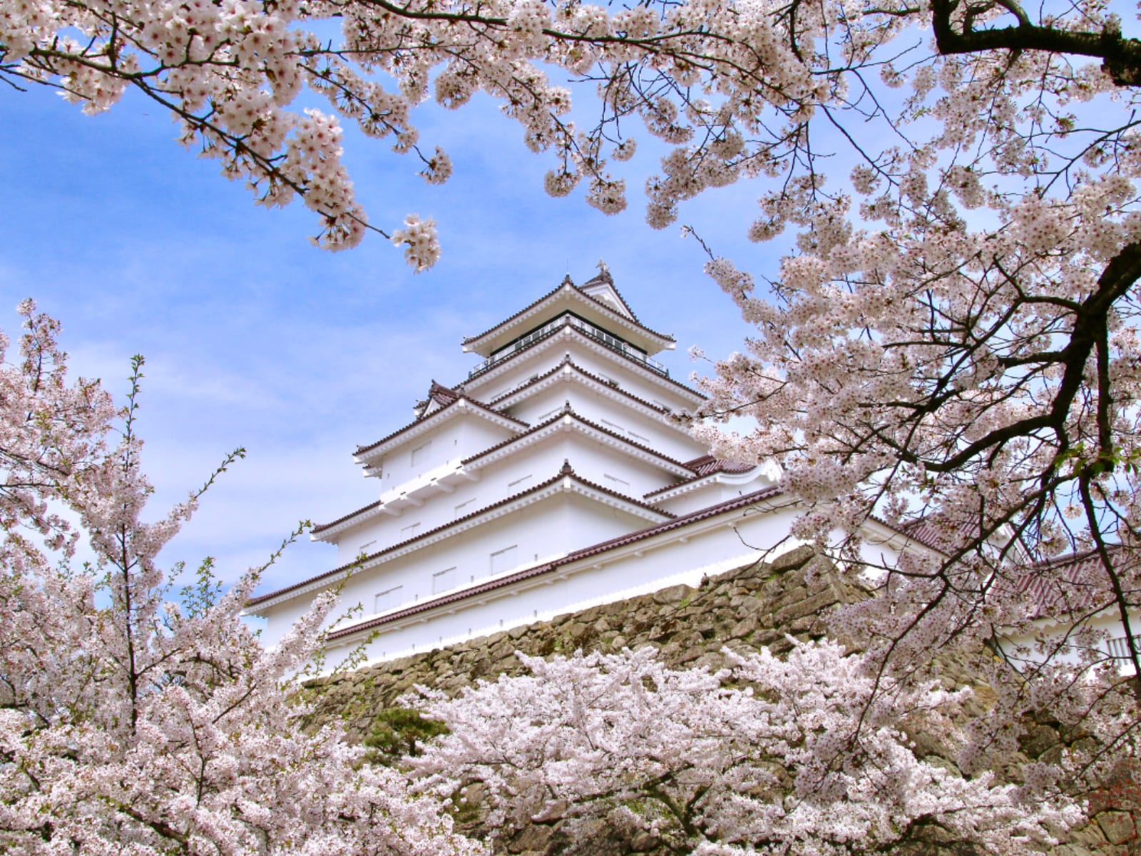 春に行きたいと思う「福島県の旅行先」ランキング
