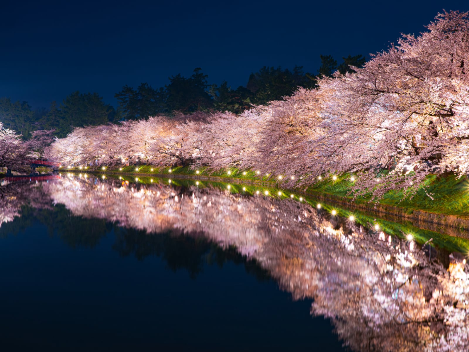 春に行きたいと思う「青森県の旅行先」ランキング