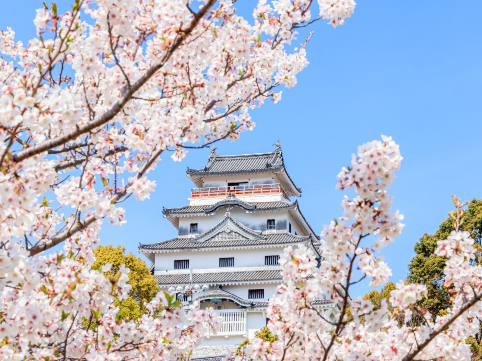 「佐賀で行ってみたい＆好きな桜の名所」ランキング