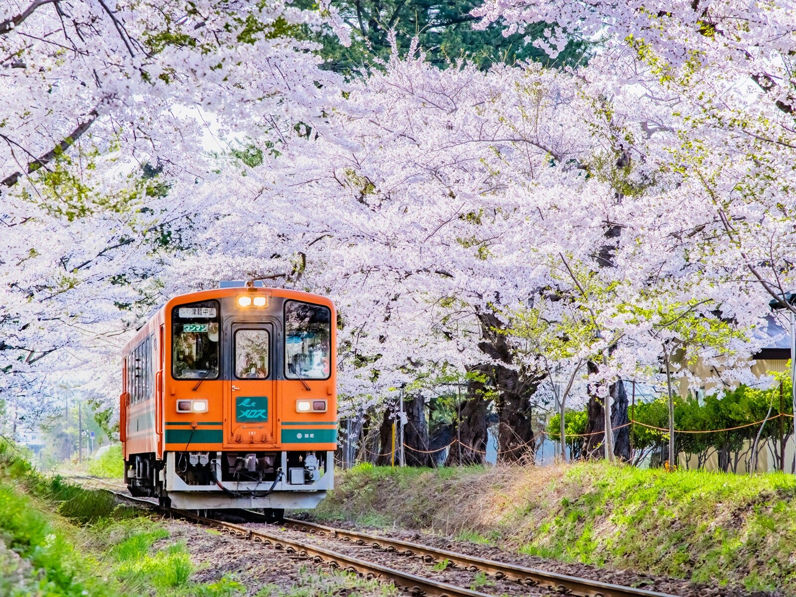 春に行きたいと思う「青森県の公園」ランキング