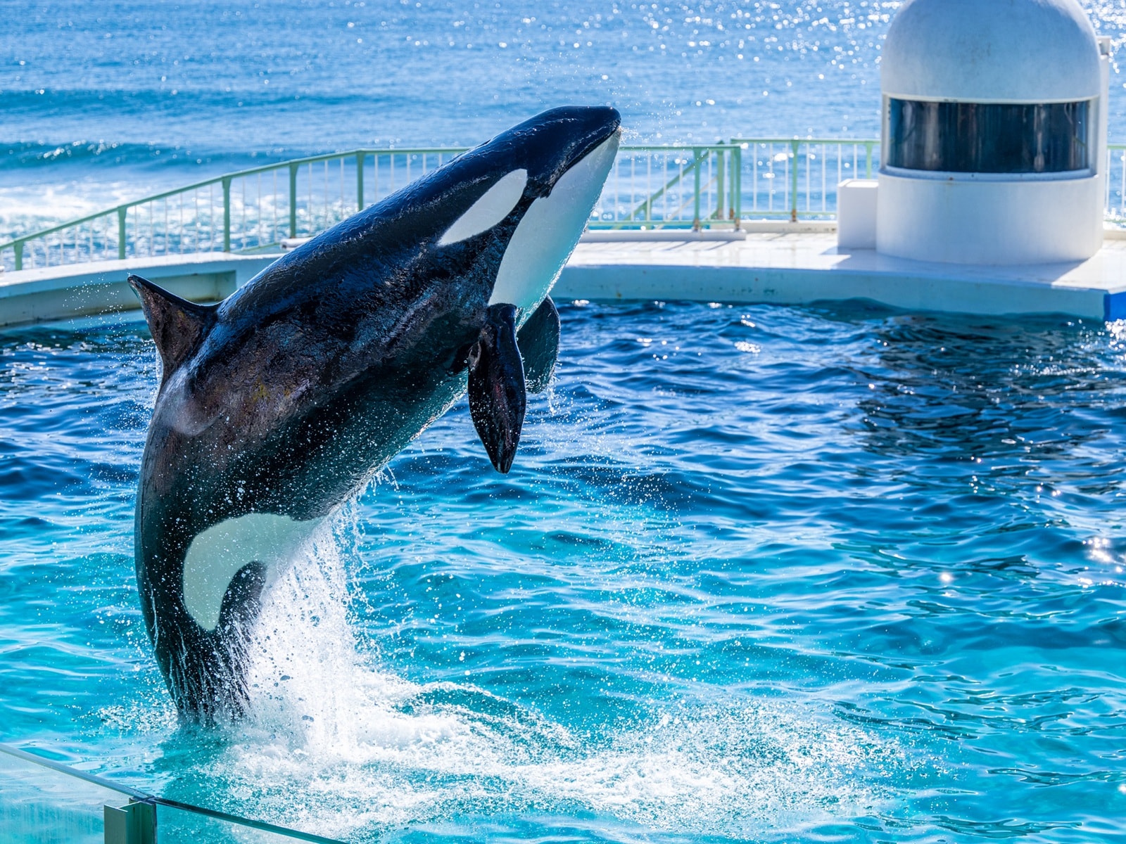 春に行きたいと思う「千葉県の旅行先」ランキング