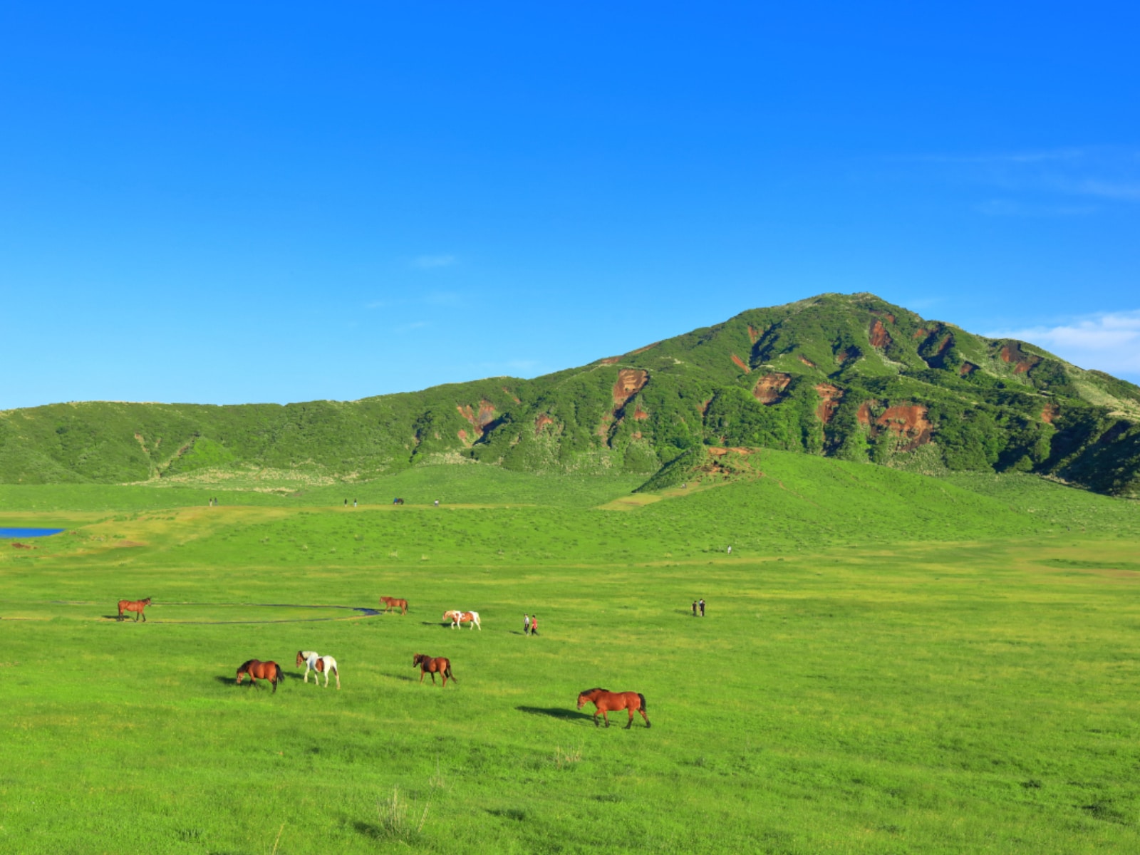 「春に行きたいと思う熊本県の旅行先」ランキング