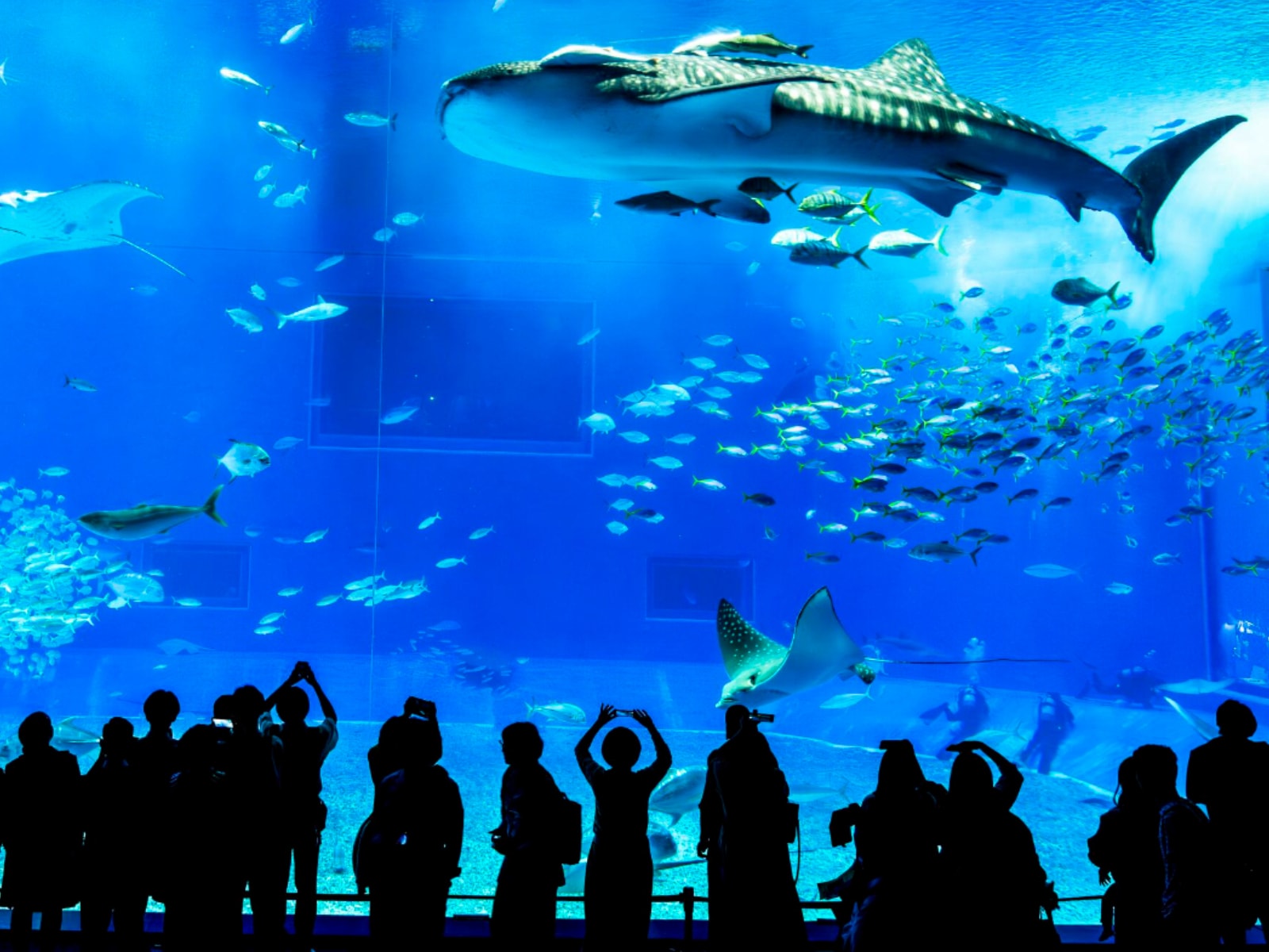 「春に行きたいと思う沖縄県の旅行先」ランキング