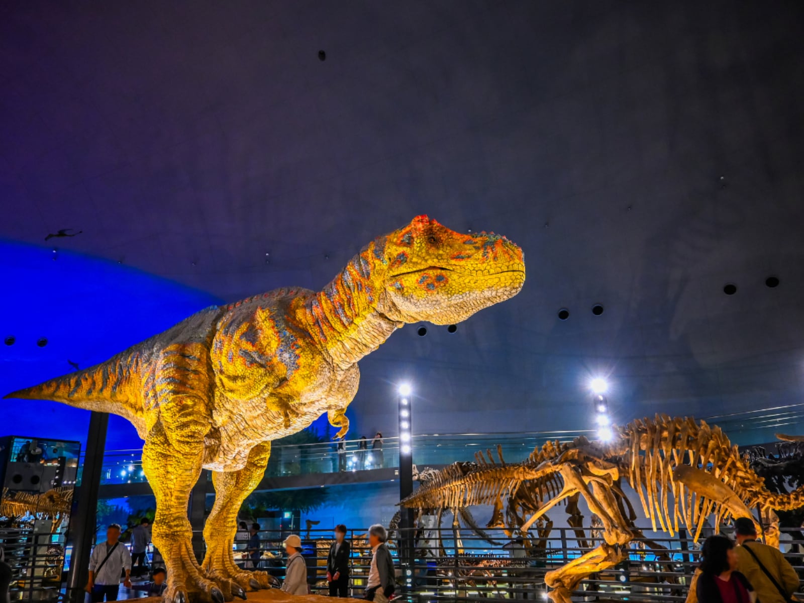 「春に行きたいと思う福井県の旅行先」ランキング