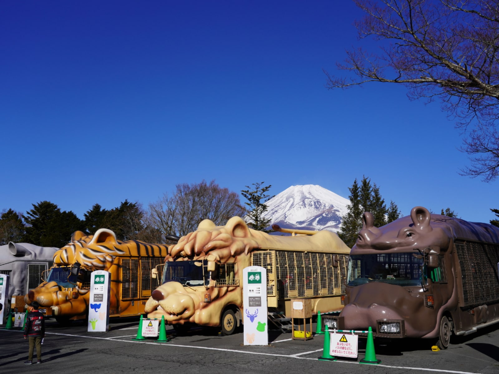 「静岡県の旅行先」ランキング