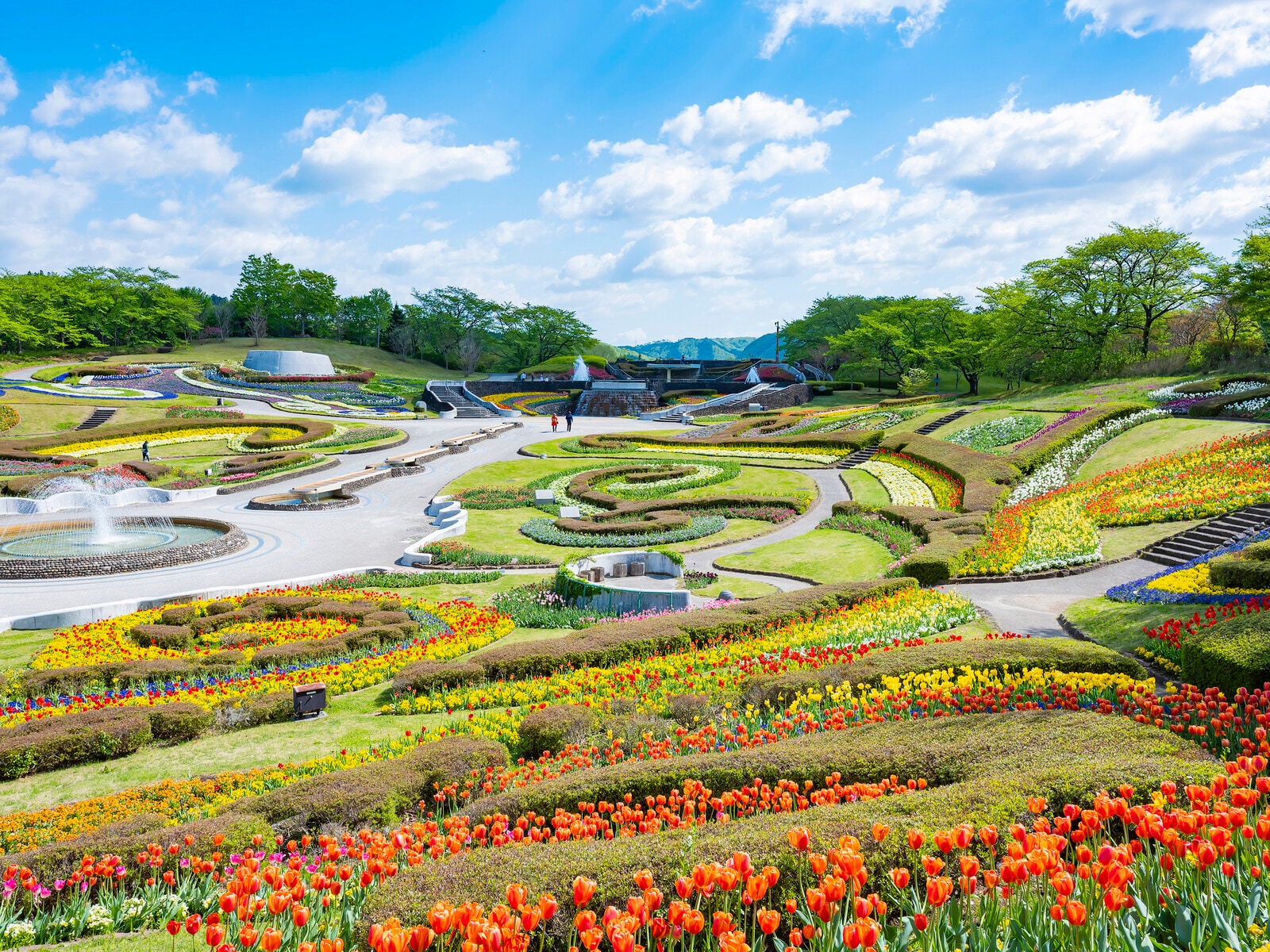 国営みちのく杜の湖畔公園