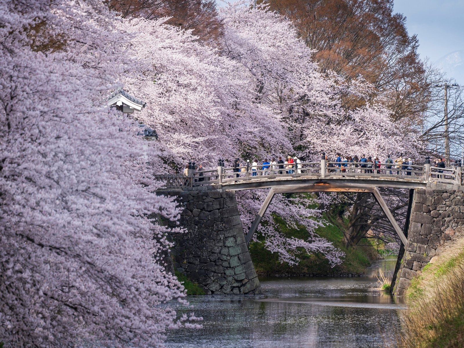 霞城公園（山形城跡）