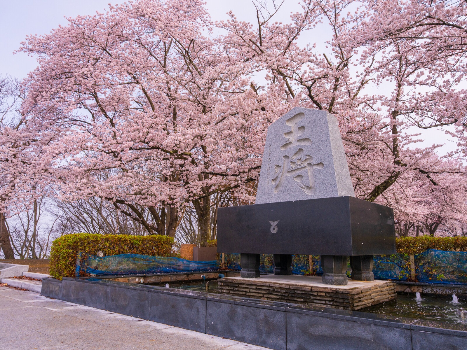 舞鶴山 天童公園