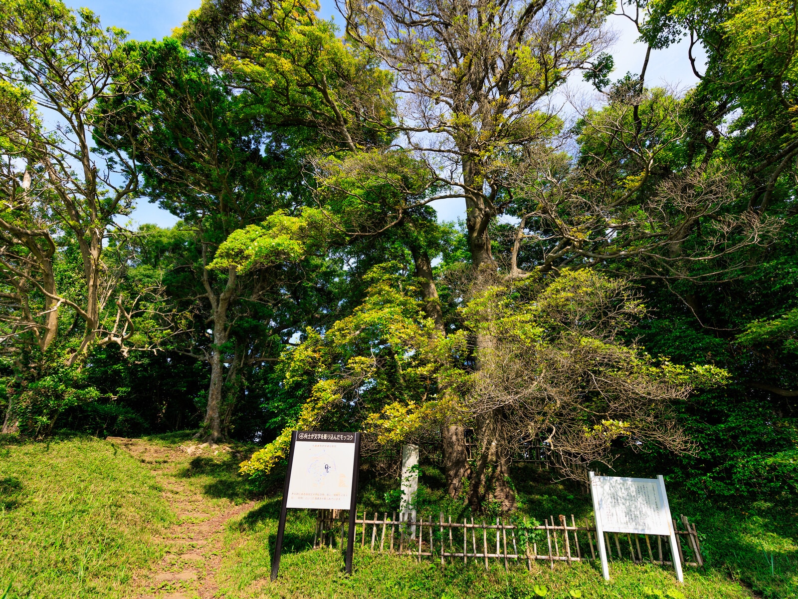 佐倉城址公園