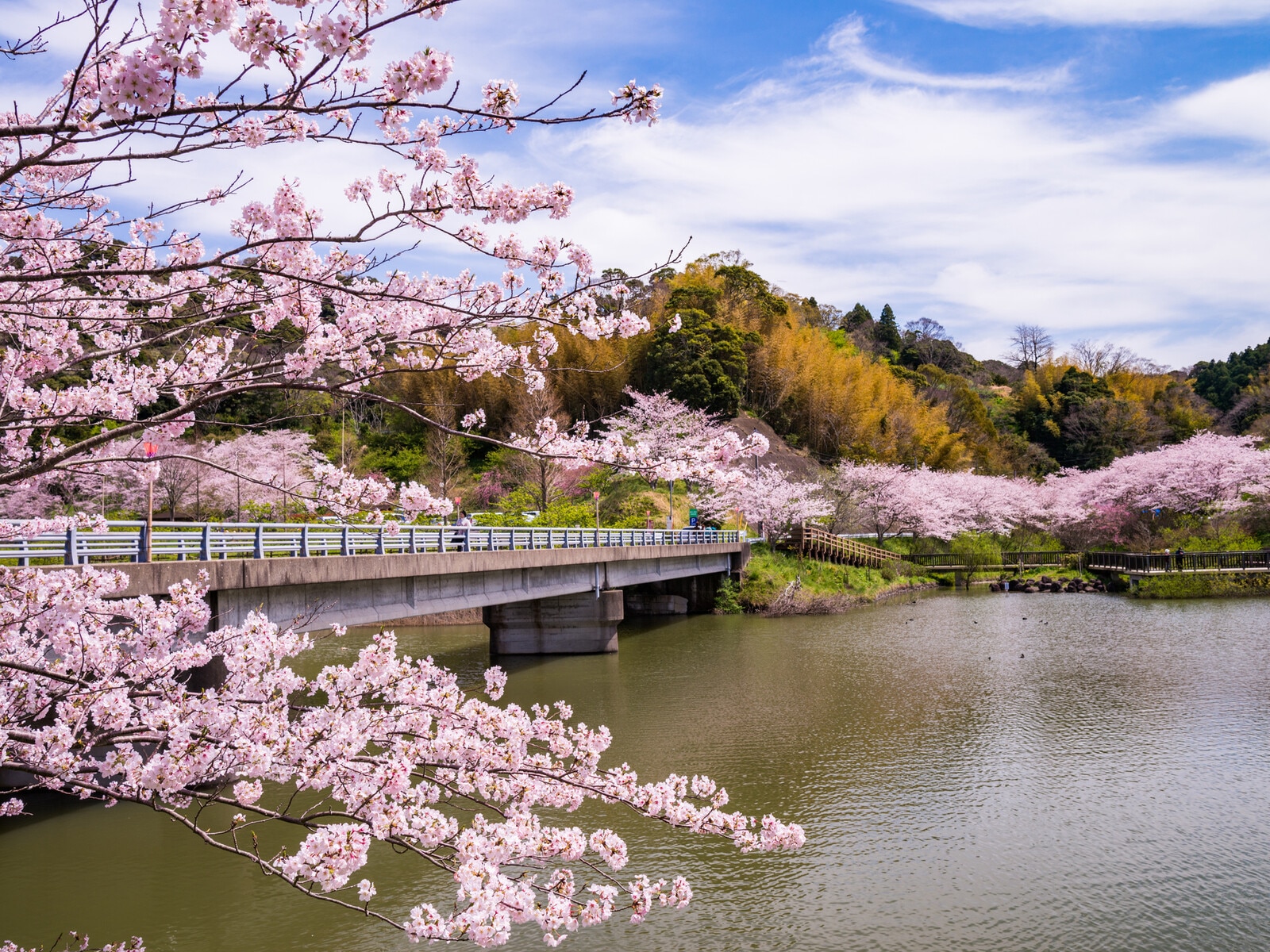 佐久間ダム湖親水公園