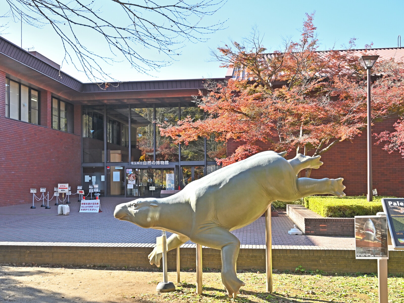 埼玉県立自然の博物館