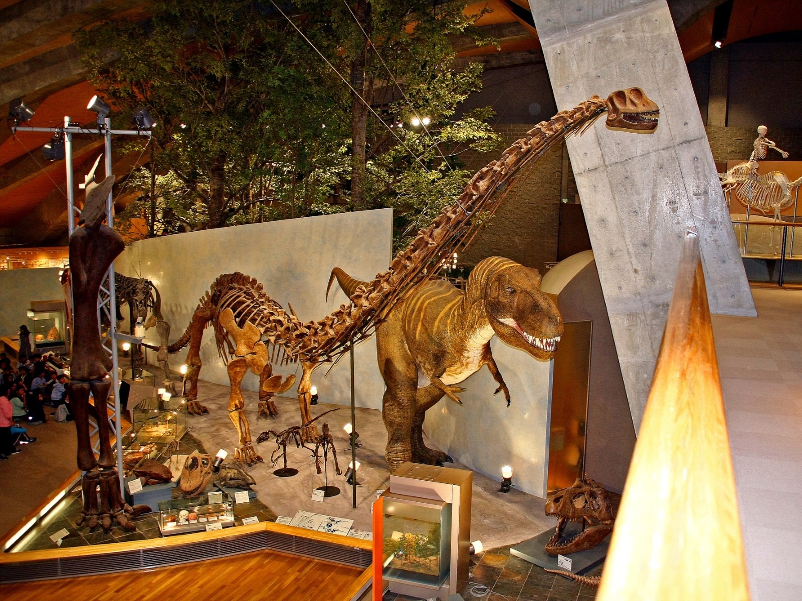 群馬県立自然史博物館