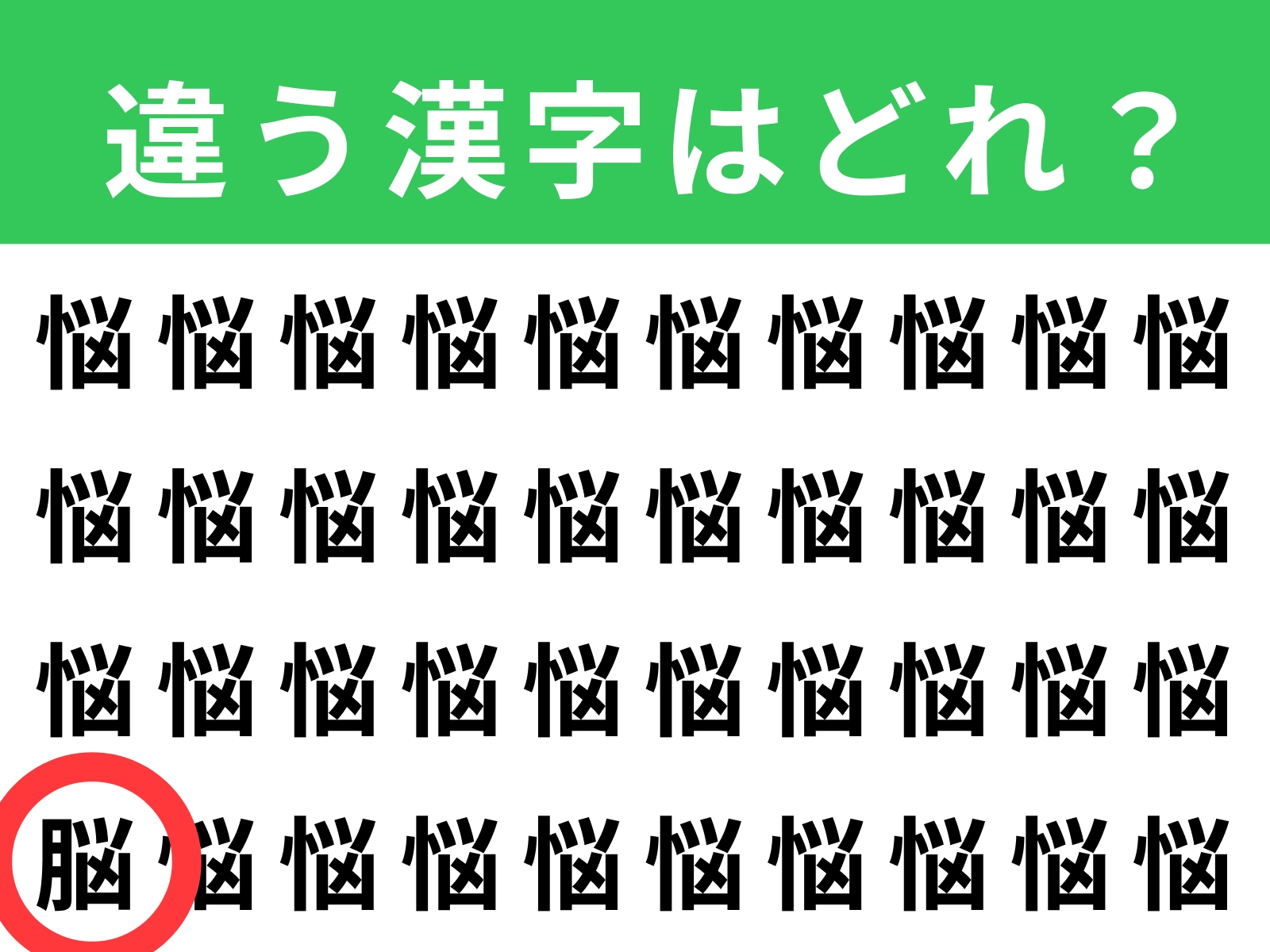 正解：脳