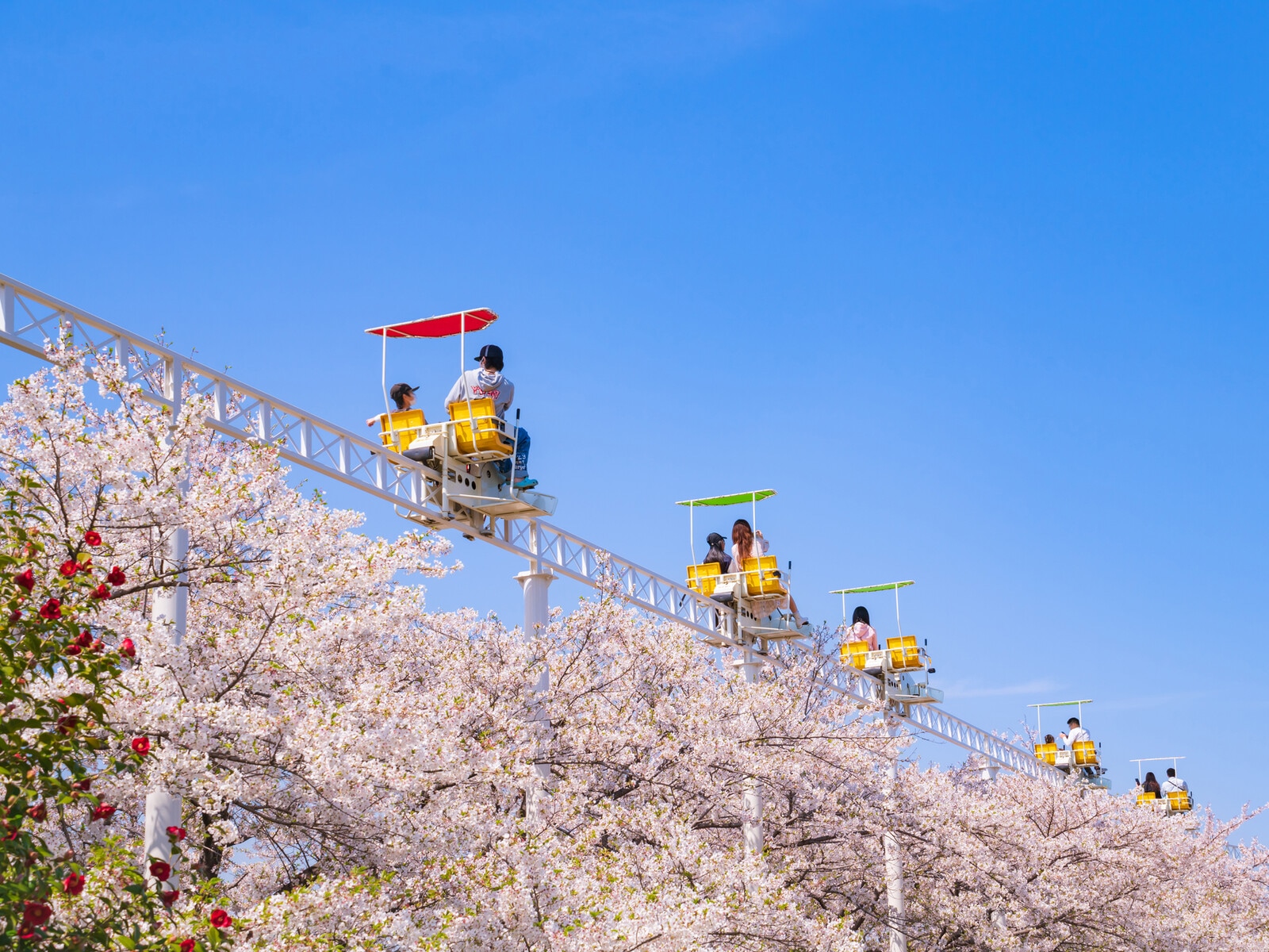 meitoこどもランド・とだがわ