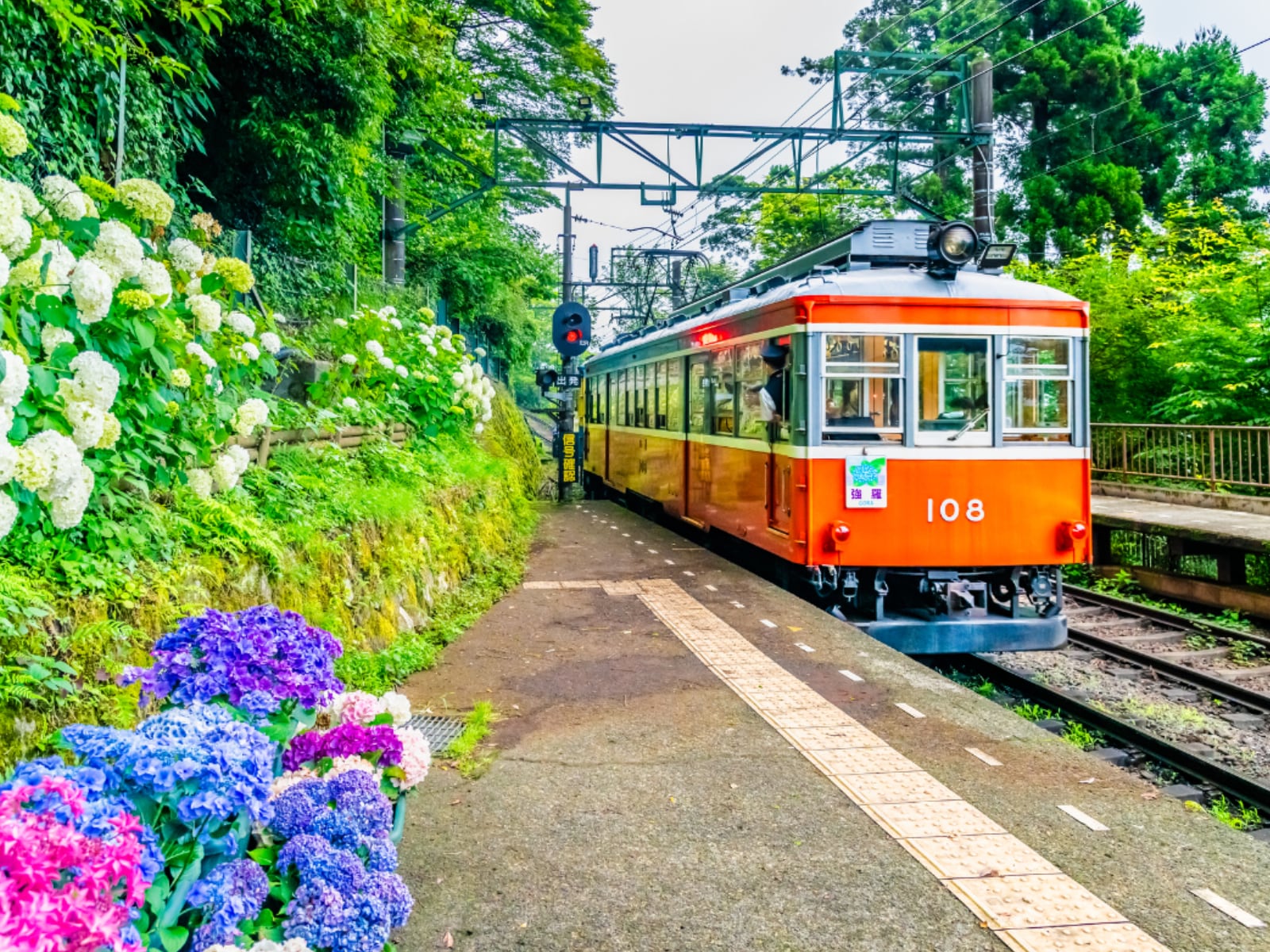 「梅雨に行きたいと思う神奈川県の旅行先」ランキング