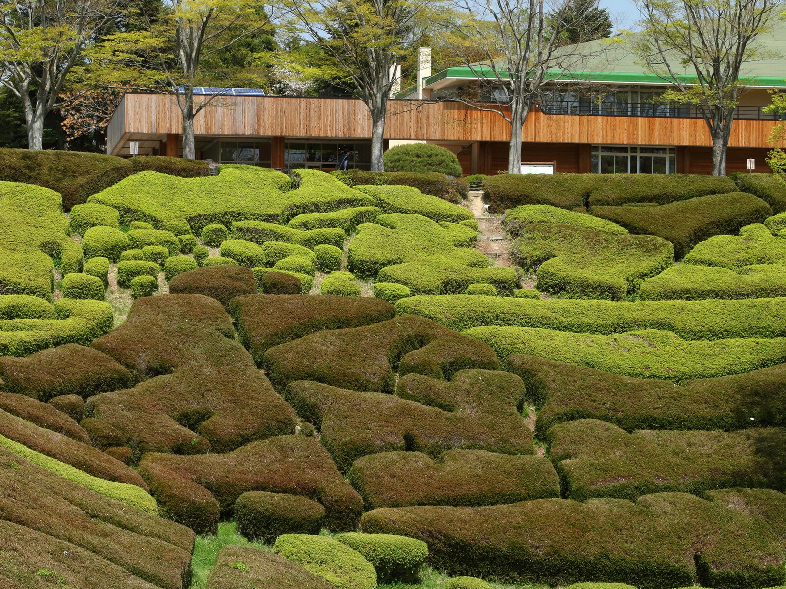 宮城県県民の森