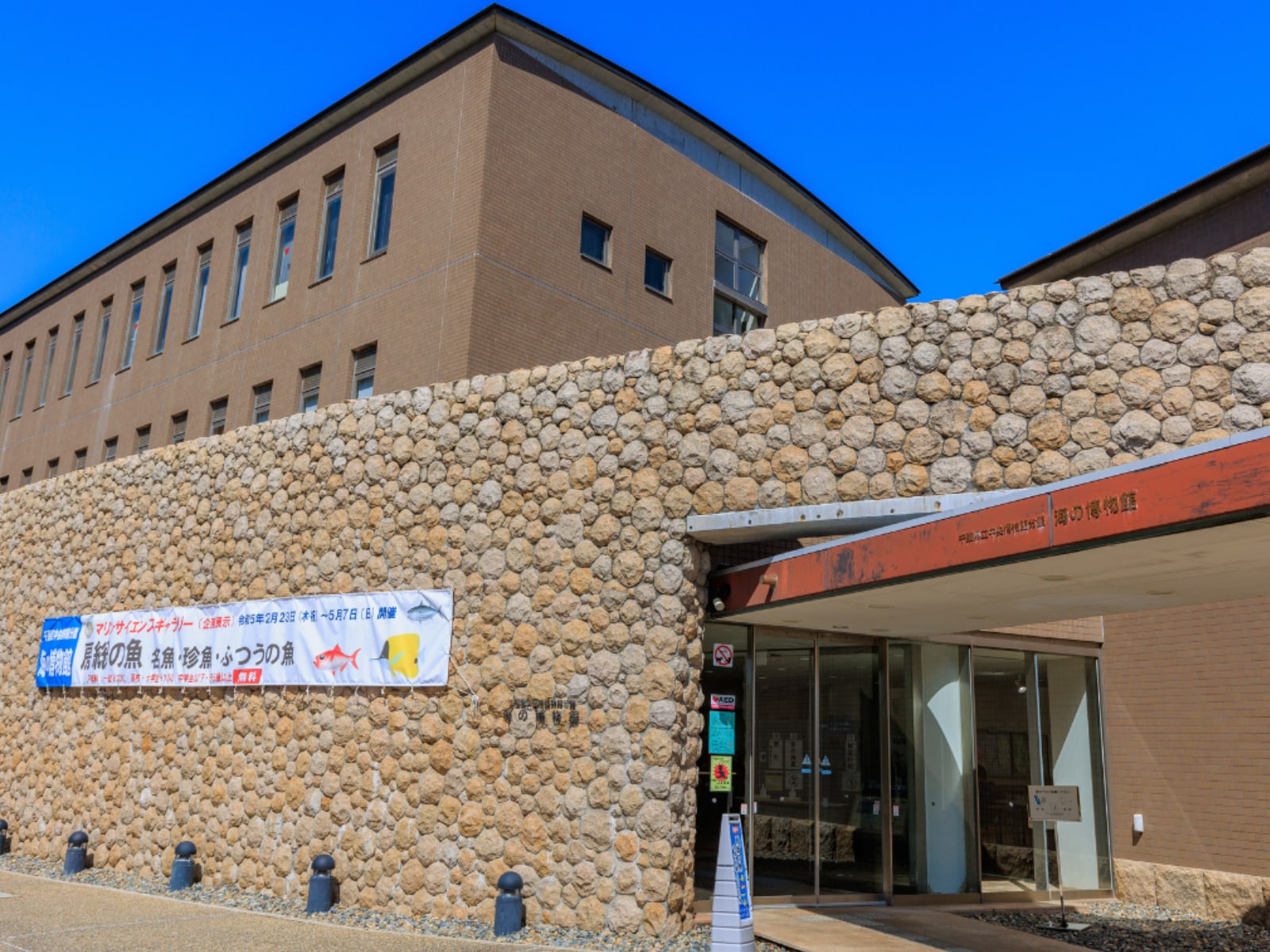 千葉県立中央博物館分館 海の博物館