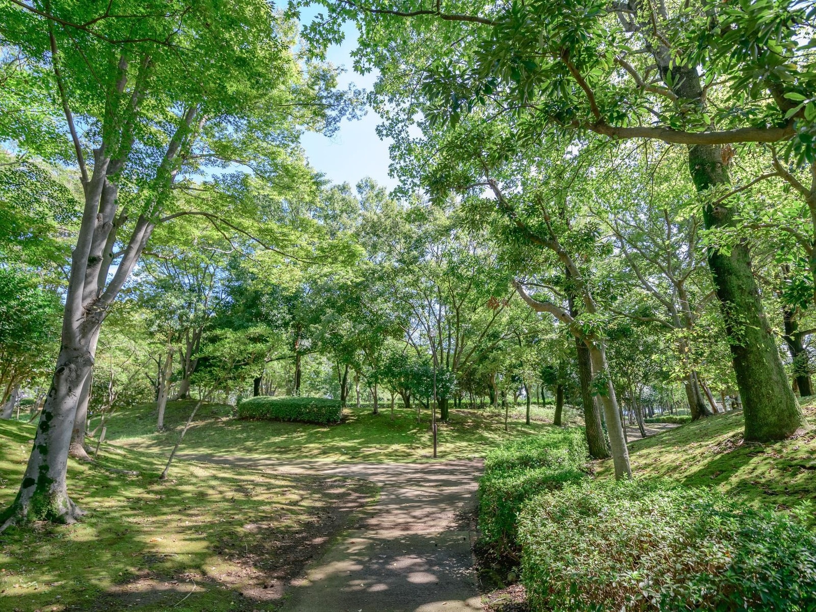 羽成公園