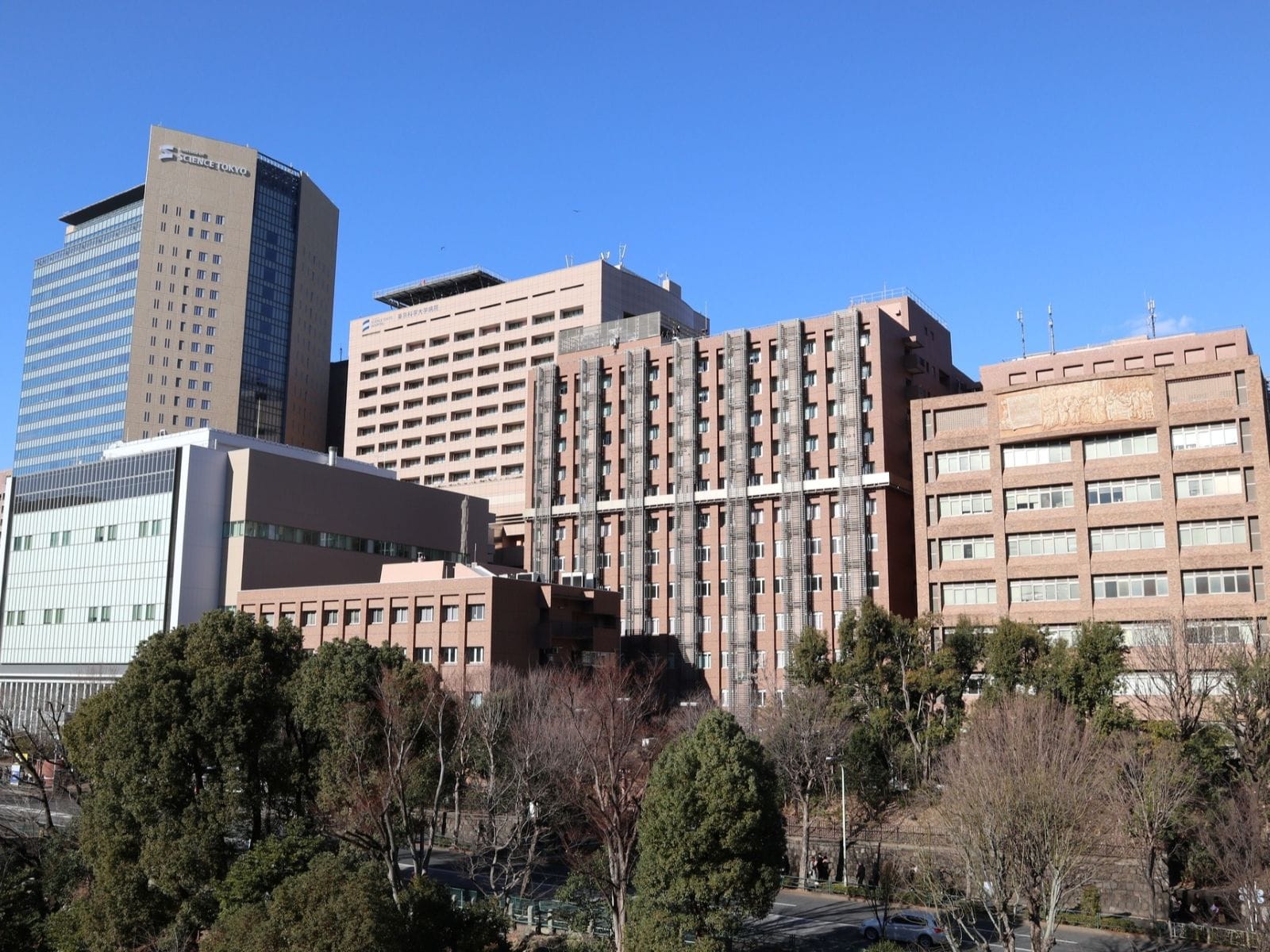 東京科学大学医学部