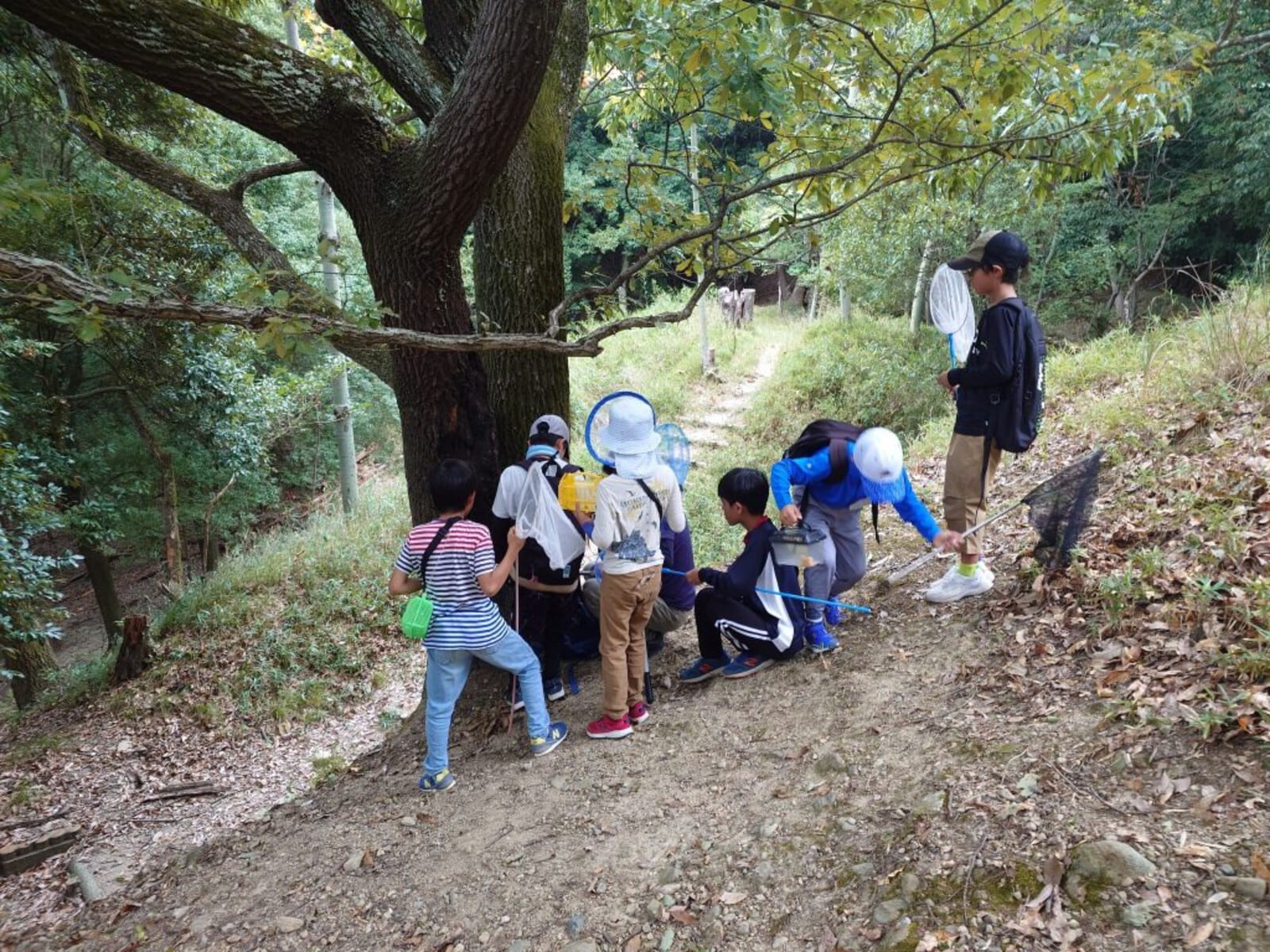 池田市立五月山児童文化センター