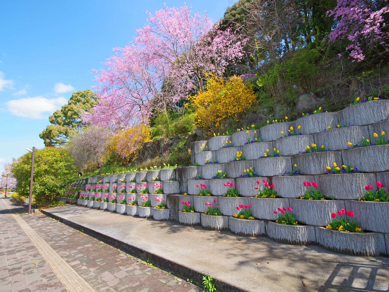 大任中央公園