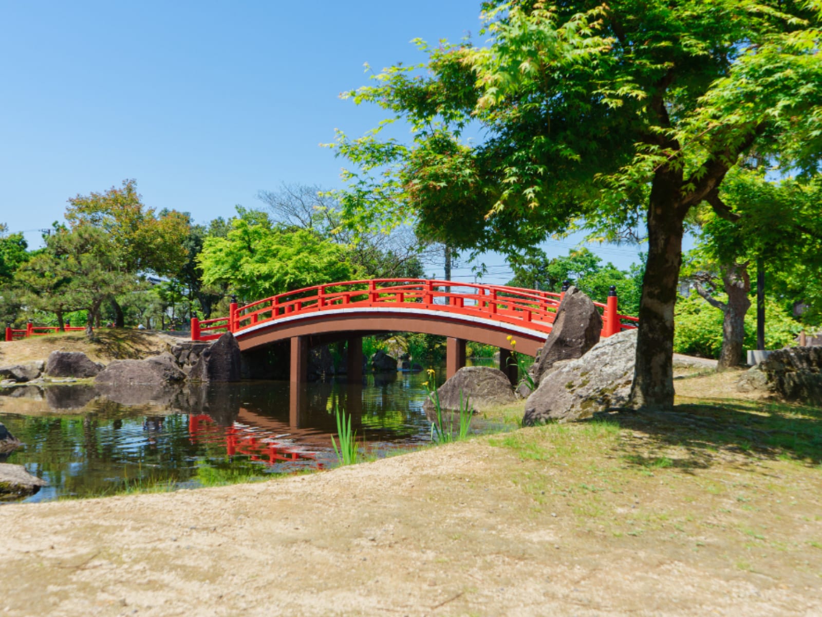 「名前がかっこいいと思う福井県の市」ランキング