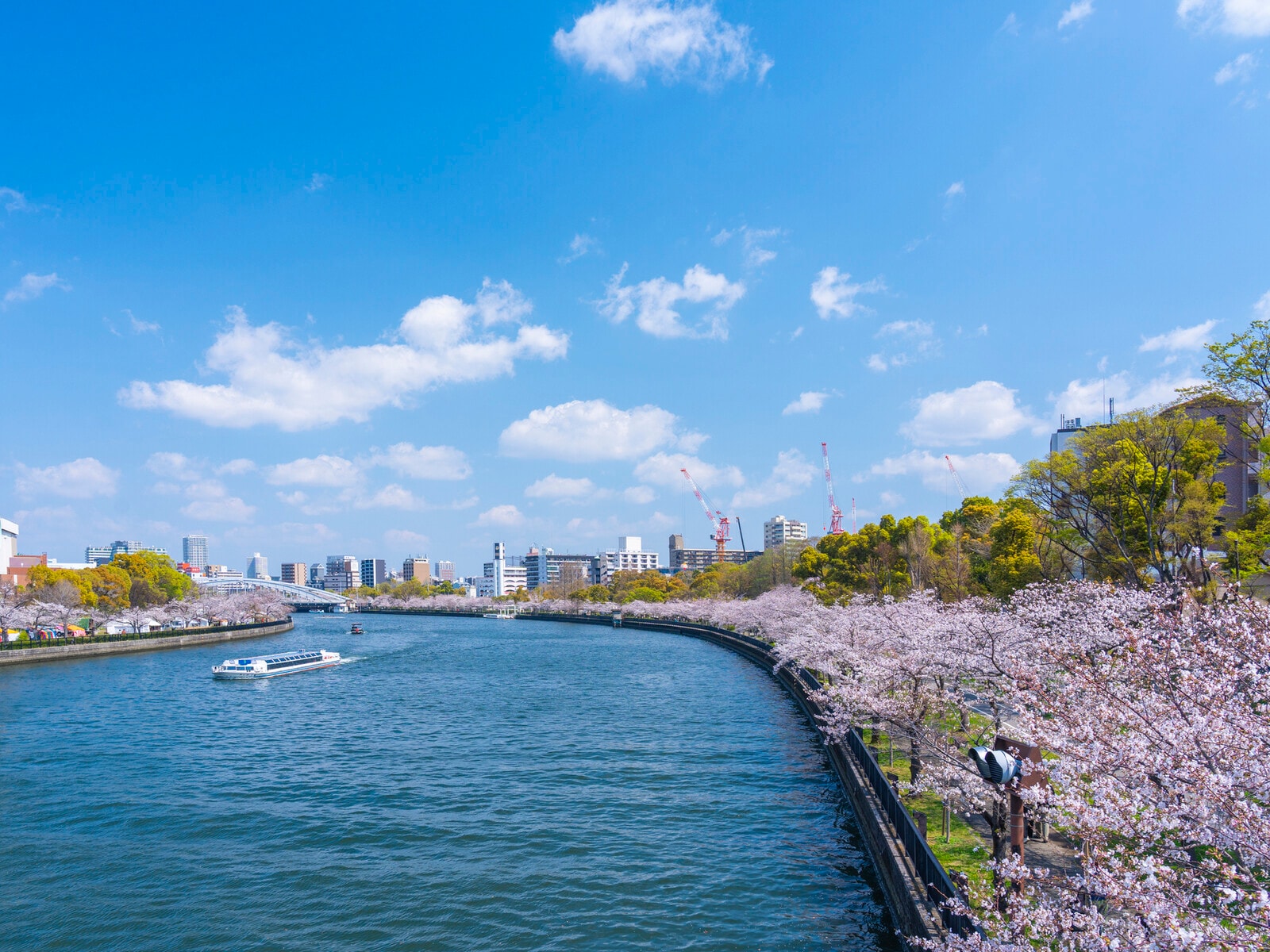 毛馬桜之宮公園