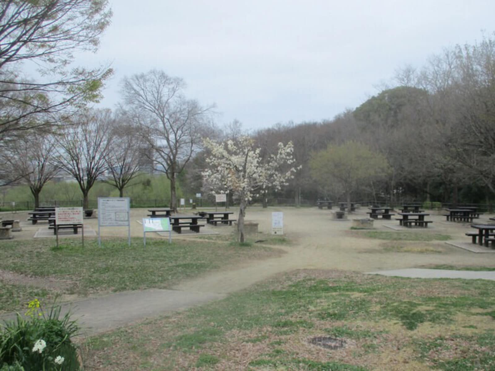 天白公園