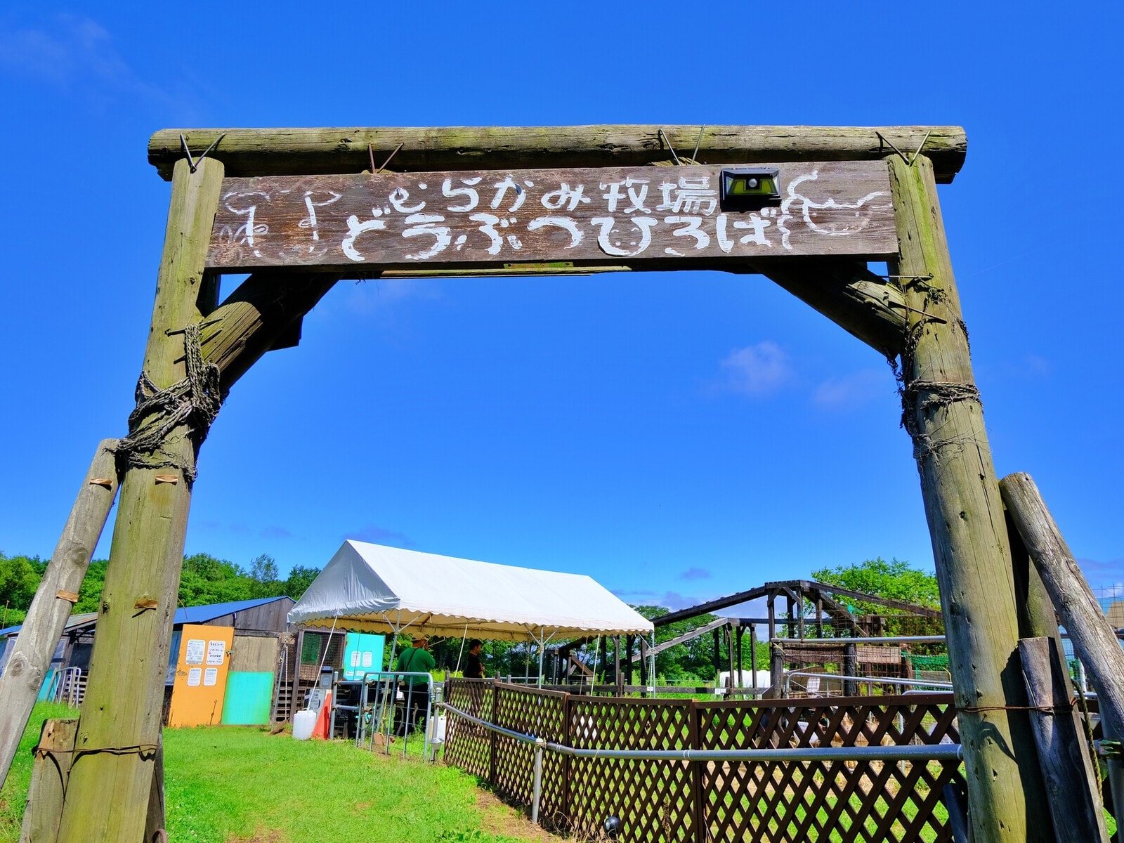 むらかみ牧場