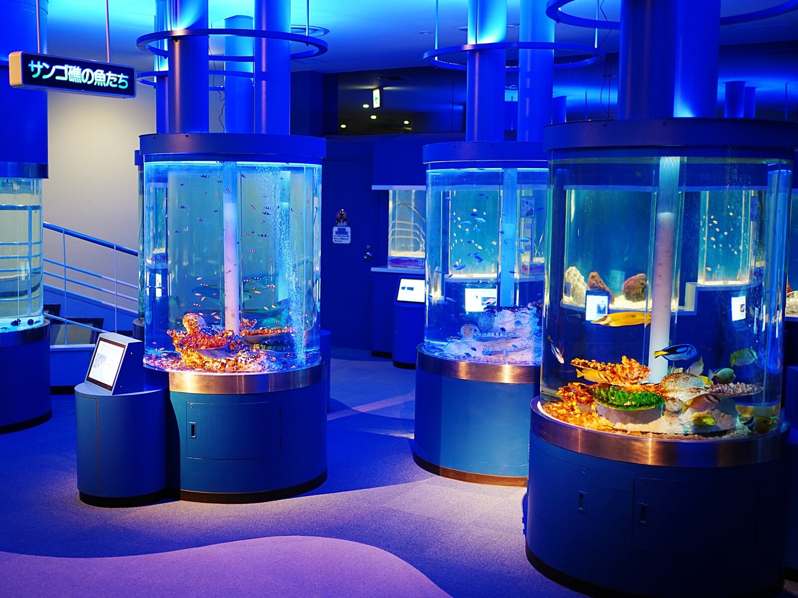 サンピアザ水族館