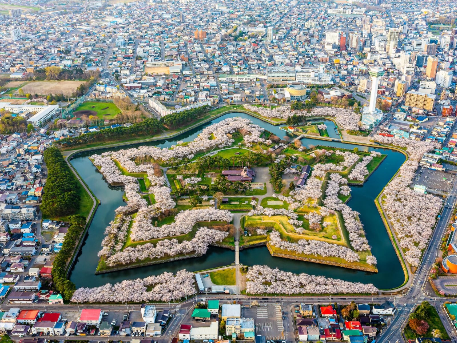 北海道の「子育てがしやすい」と思う市ランキング