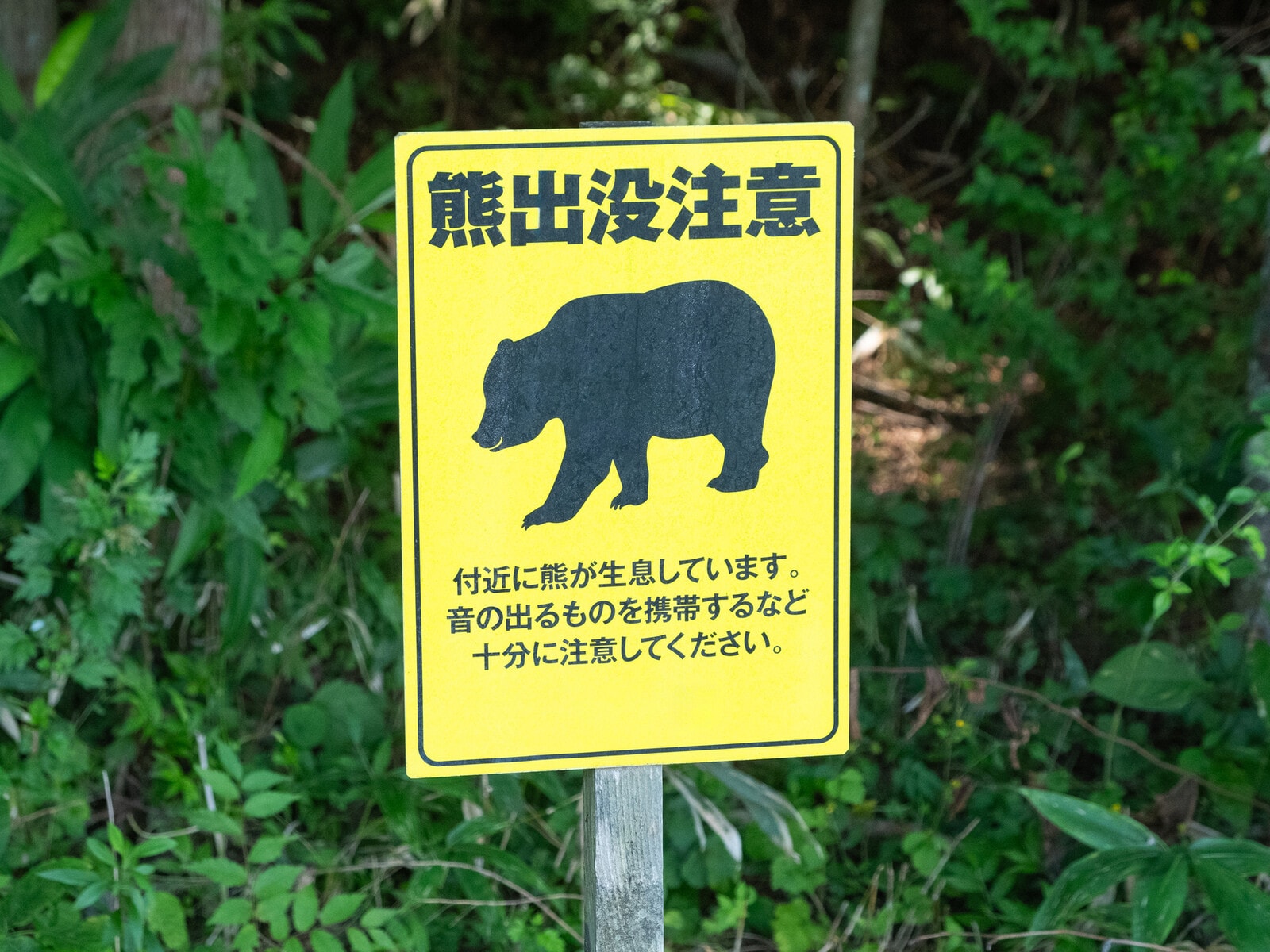 （写真はイメージです）